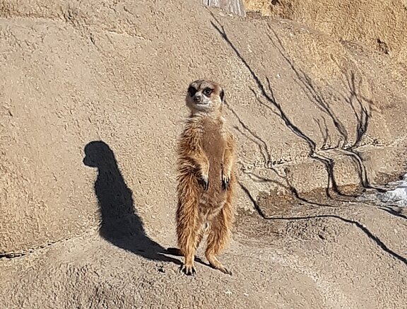 2025-02-24_TagesgruppeBZ_Ferien7.jpg 